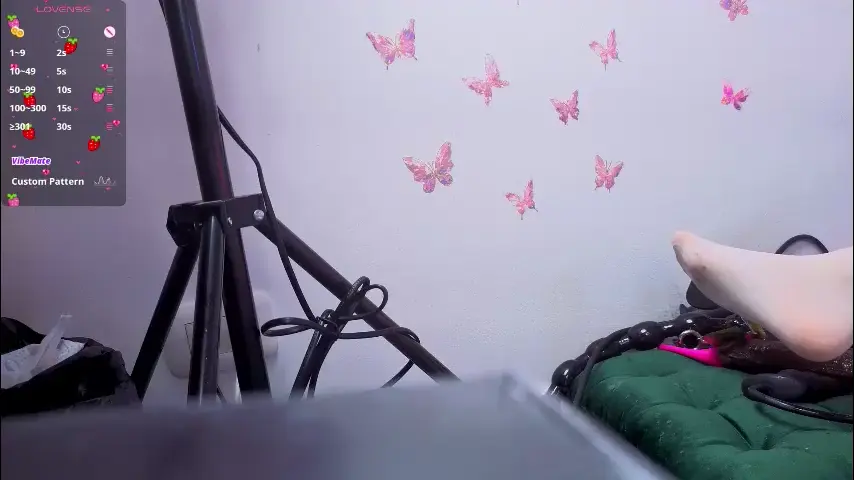 kittyroses