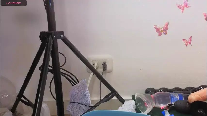 kittyroses