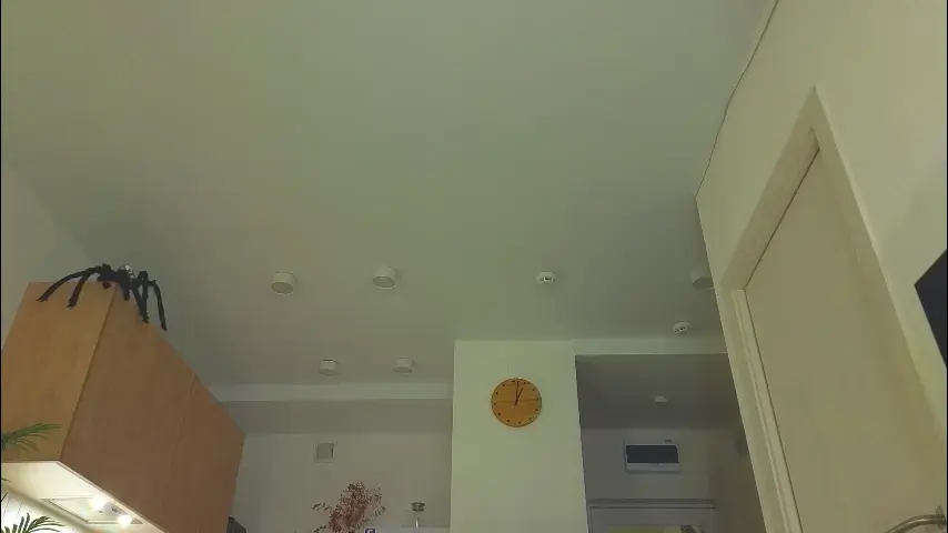 lili__roze_