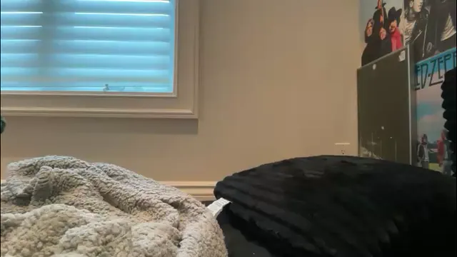lilybrown07