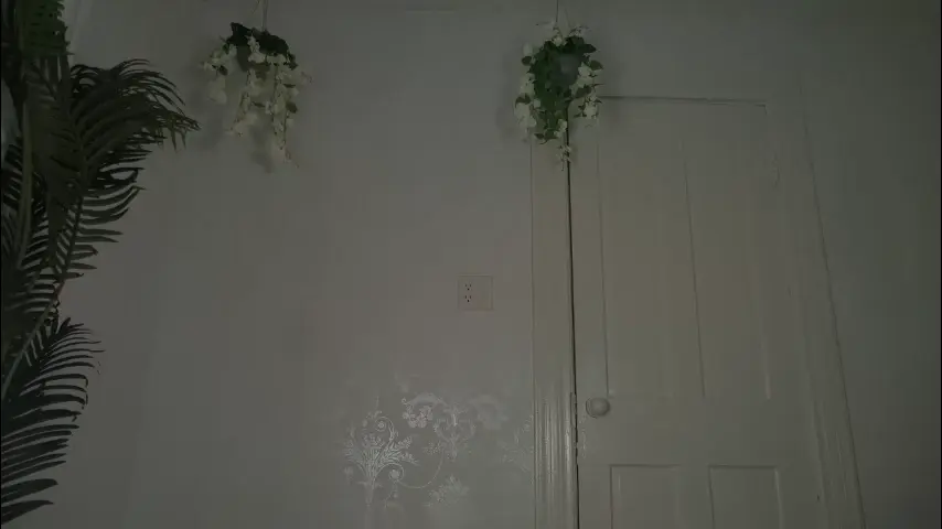 littlegreekflower