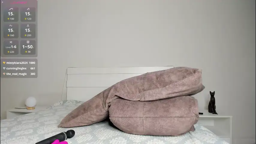 meow_mikasa