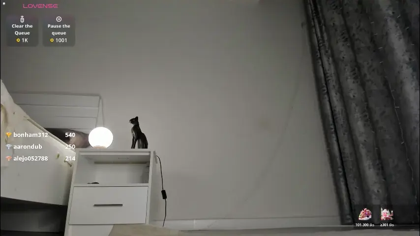 meow_mikasa