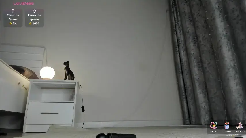 meow_mikasa