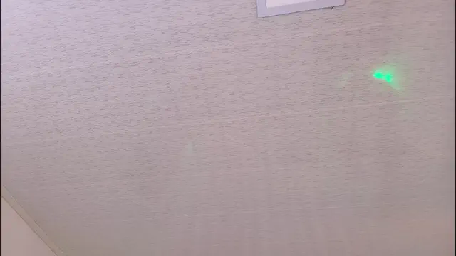 nezo_