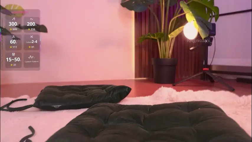 nicdani_1