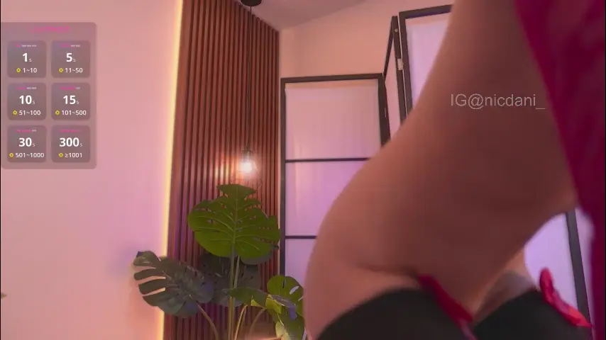 nicdani_1