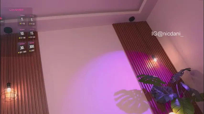 nicdani_1
