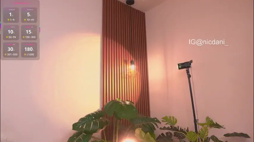 nicdani_1
