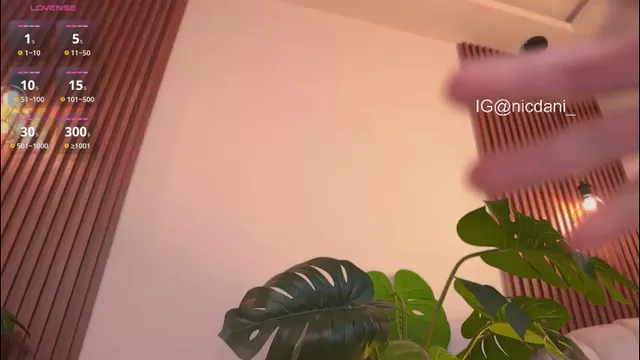 nicdani_1