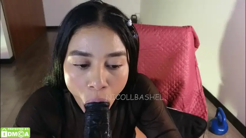 nicollbashel