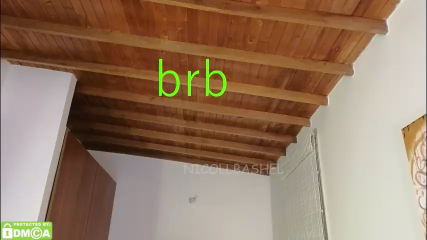 nicollbashel