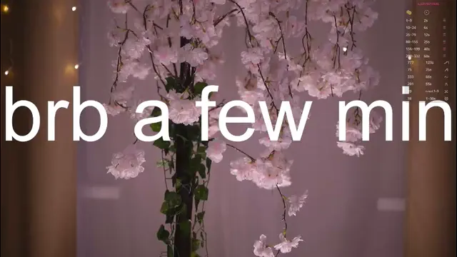 noreenbeckey