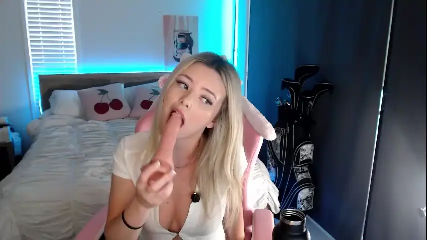 novakitty4