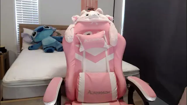 novakitty4