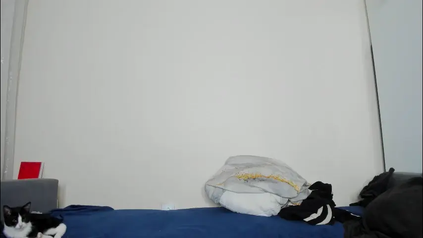 only_iva21