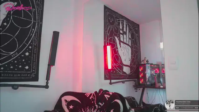punkyfoxx