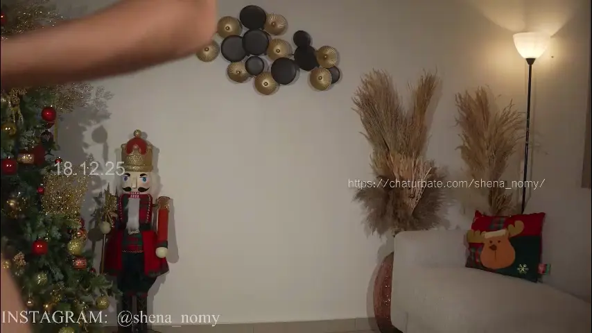 shena_nomy