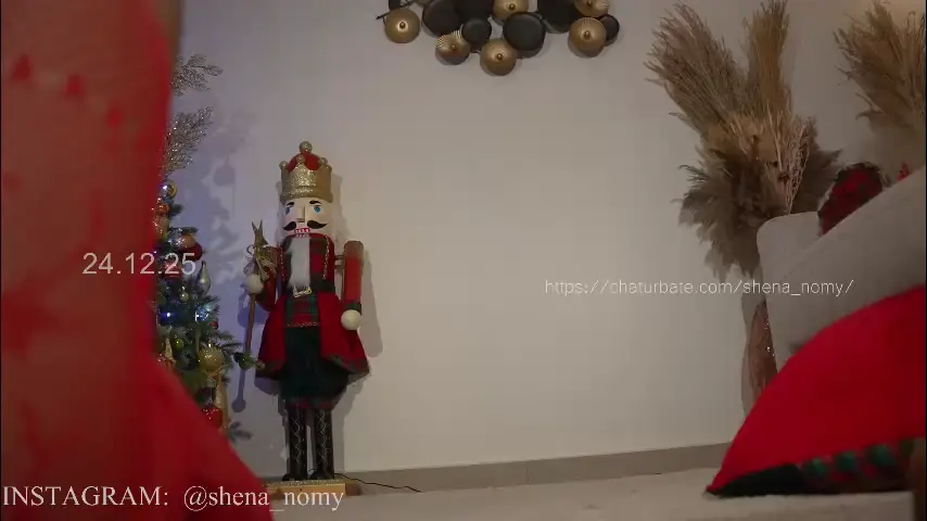 shena_nomy
