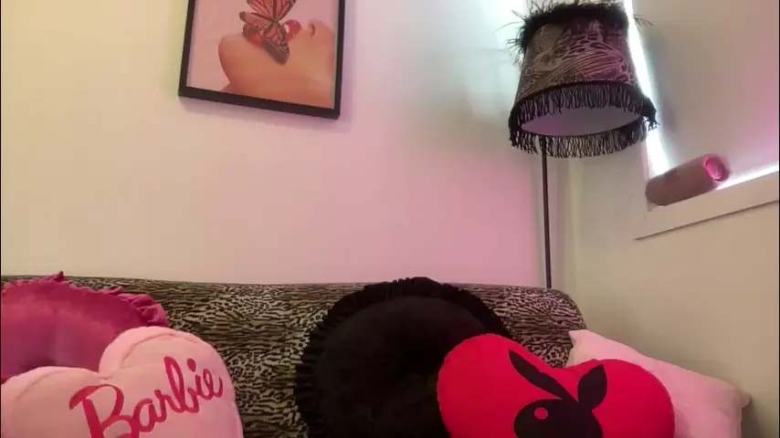 shysashy