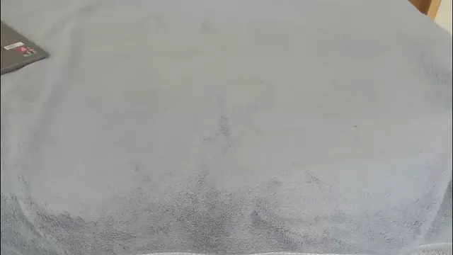 single_fox_4u