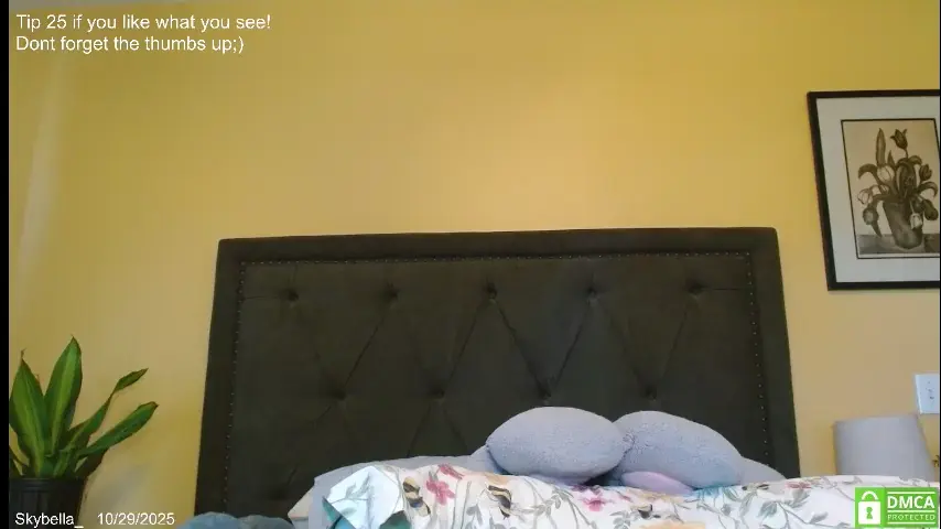 skybella_