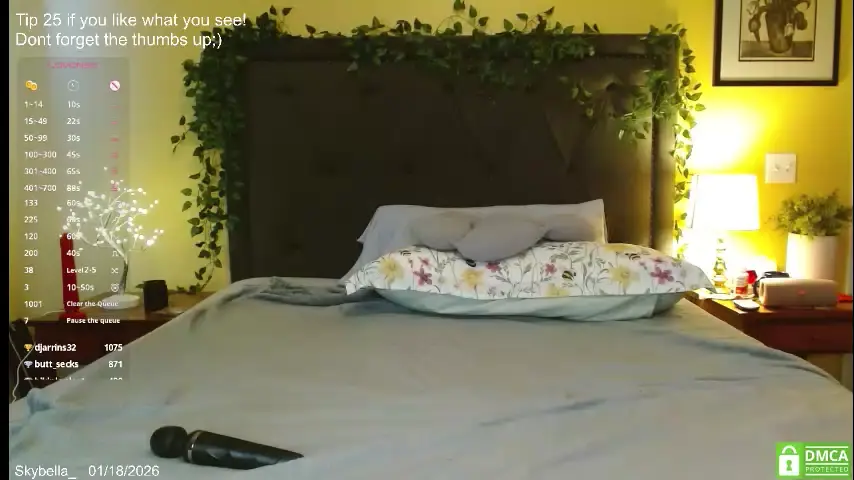 skybella_