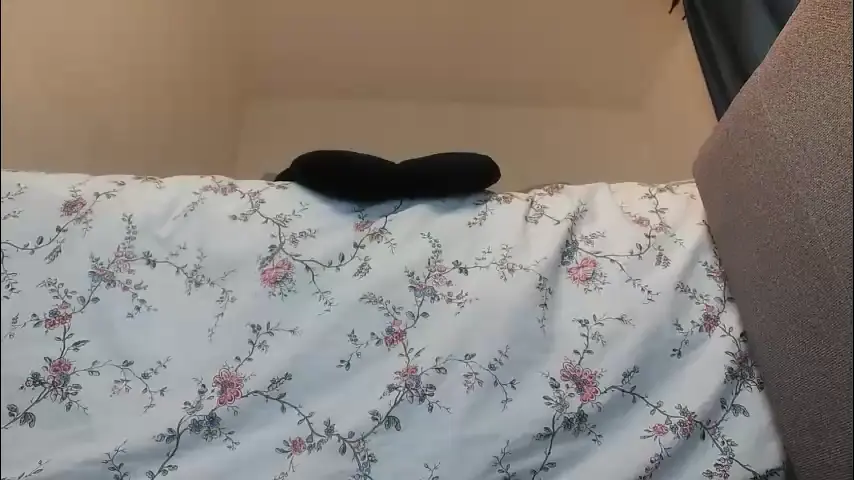 smalldoll7