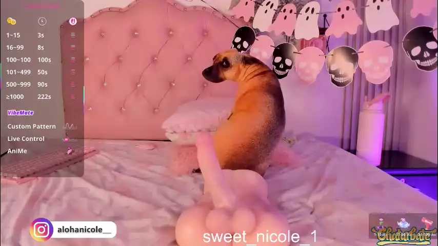 sweet_nicole_1