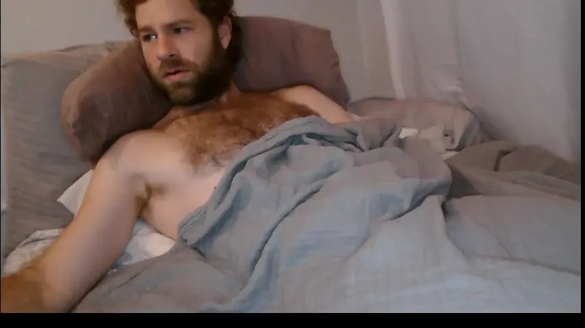 tigerzaddy