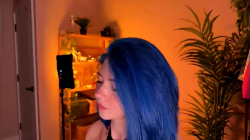 vixenp