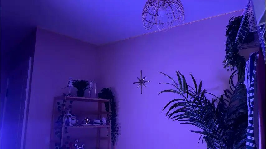 vixenp