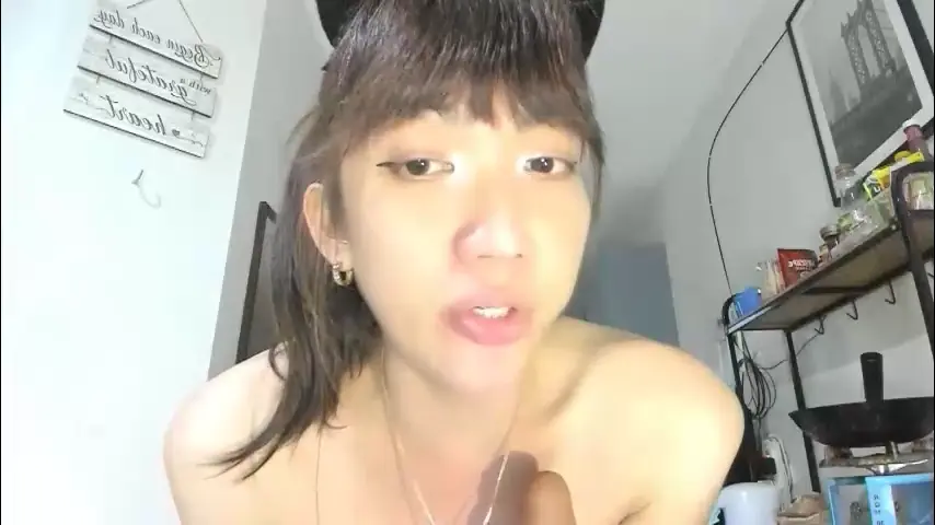 xdreamangel