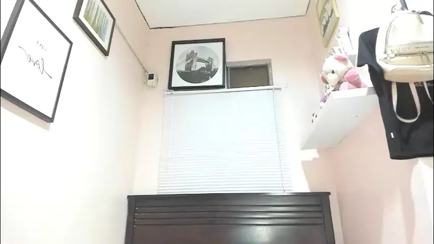 xdreamangel