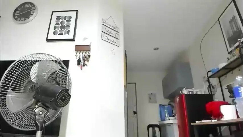 xdreamangel