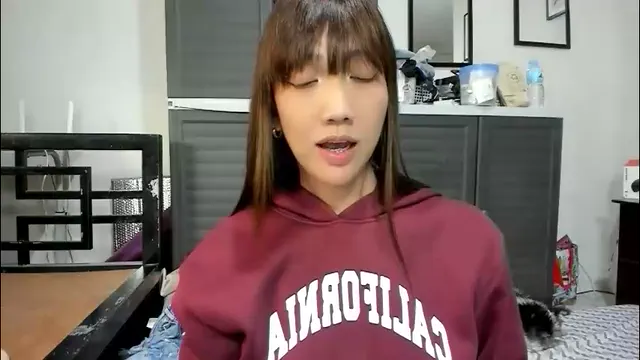 xdreamangel