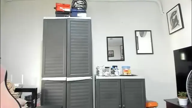 xdreamangel
