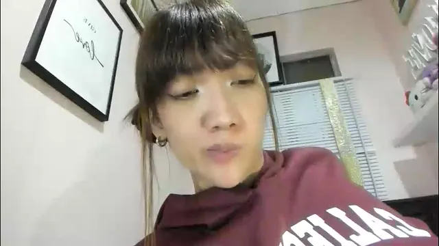 xdreamangel