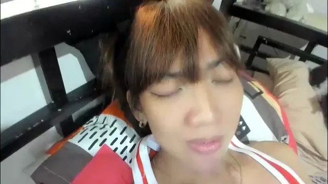 xdreamangel