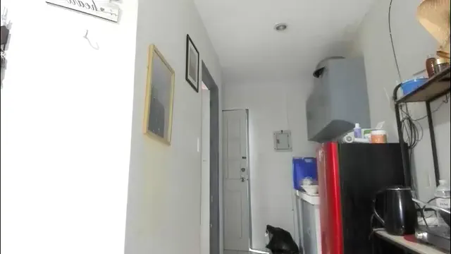 xdreamangel