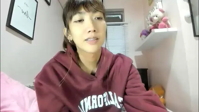 xdreamangel