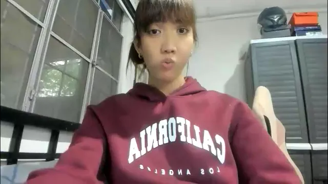 xdreamangel