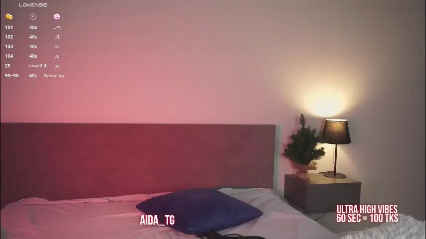 xxxaida