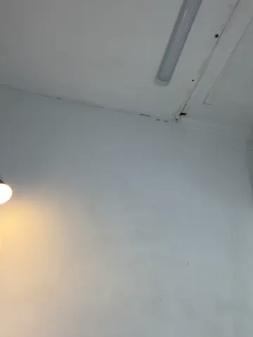 _pamela_1