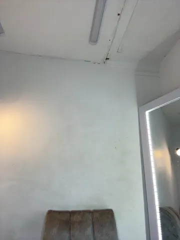 _pamela_1