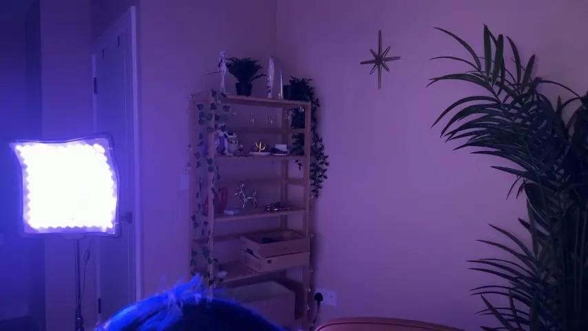 _vixenp