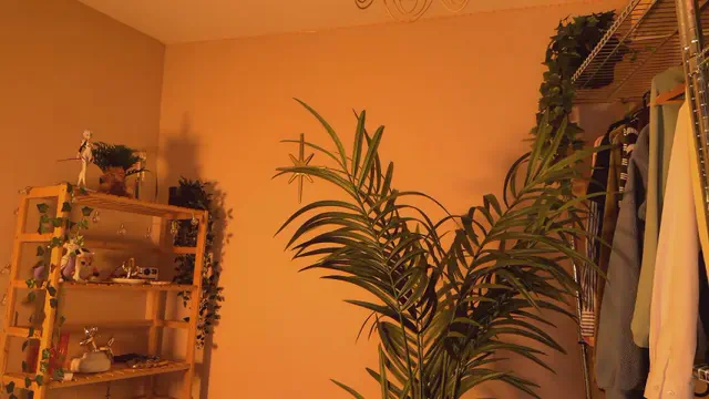 _vixenp