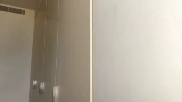 _vixenp