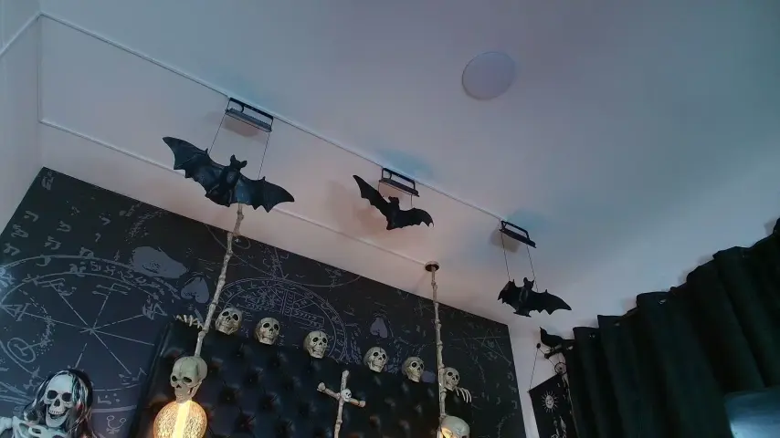 alexhoe_