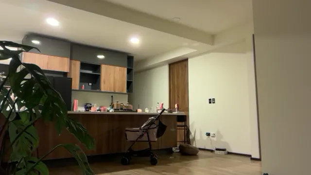 alicatcua_